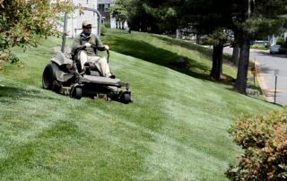 Image of Premium employee mowing a lawn.